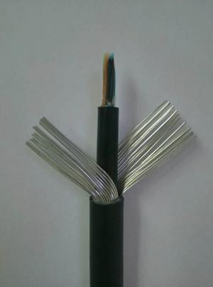 武邑防水防潮通信電纜HYAT與其他通信線(xiàn)纜的綜合對(duì)比與應(yīng)用指南